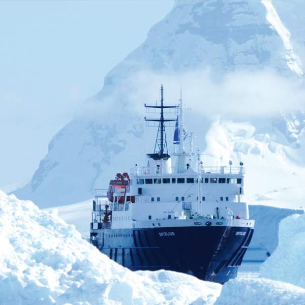 Entre les icebergs ...