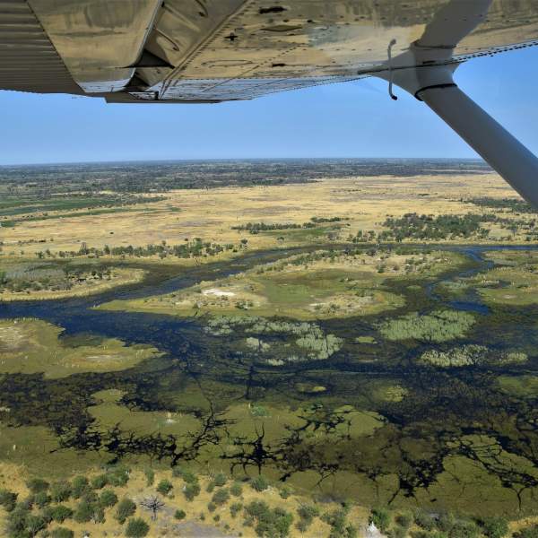 Survol delta Okavango