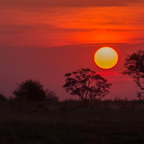 Coucher de soleil au Botswana
