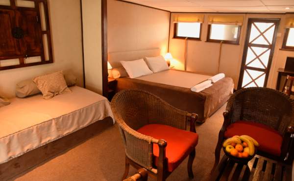 Suite Luxe