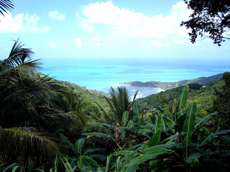 Jour 7 - Tortola