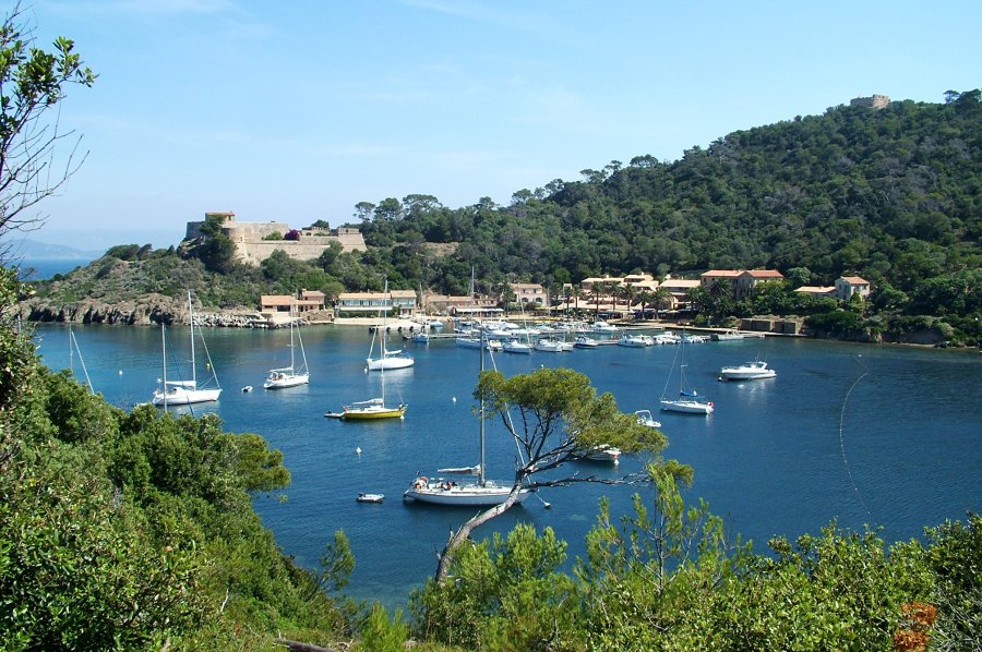 Jour 3 : île de Port-Cros – Presqu’île de Giens