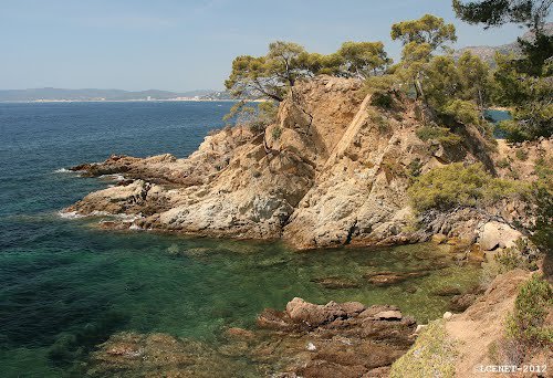 Jour 4: Plages de Brégançon – Anse de Cavalière, 8 MN